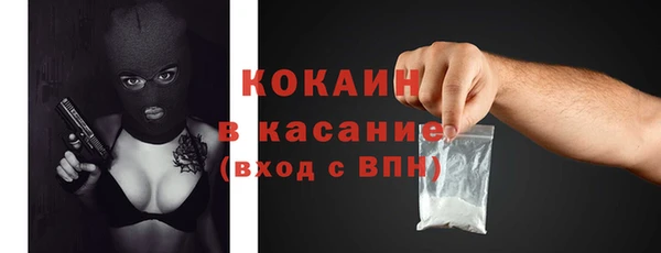 стафф Алзамай