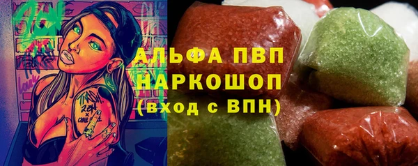 стафф Алзамай