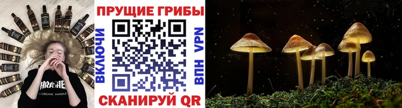 Галлюциногенные грибы мухоморы  Можайск 